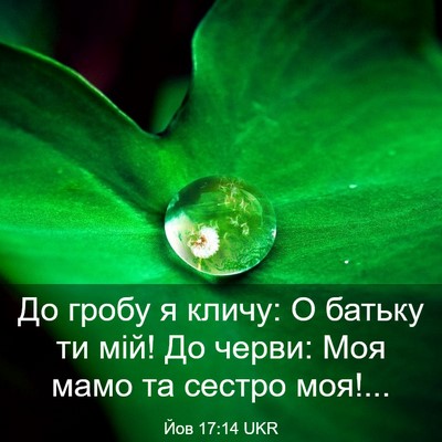 Picture 03 - Йов 17:14 UKR - До гробу я кличу: О батьку - Bible Verse Picture