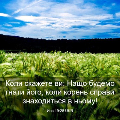 Picture 03 - Йов 19:28 UKR - Коли скажете ви: Нащо - Bible Verse Picture