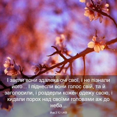 Picture 03 - Йов 2:12 UKR - І звели вони здалека очі - Bible Verse Picture