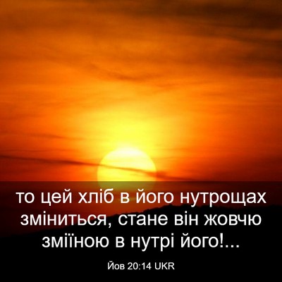 Picture 03 - Йов 20:14 UKR - то цей хліб в його нутрощах - Bible Verse Picture