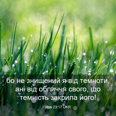Picture 03 - Йов 23:17 UKR - бо не знищений я від - Bible Verse Picture