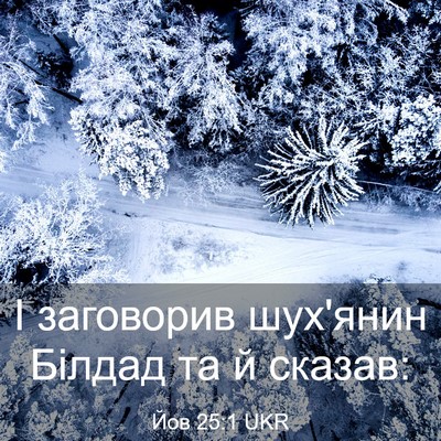Picture 03 - Йов 25:1 UKR - І заговорив шух'янин - Bible Verse Picture