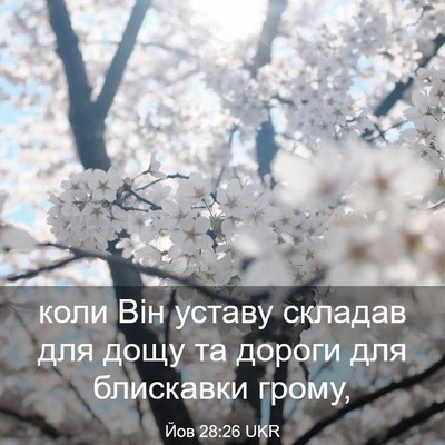 Picture 03 - Йов 28:26 UKR - коли Він уставу складав - Bible Verse Picture