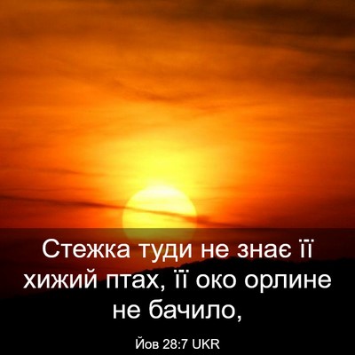 Picture 03 - Йов 28:7 UKR - Стежка туди не знає її - Bible Verse Picture