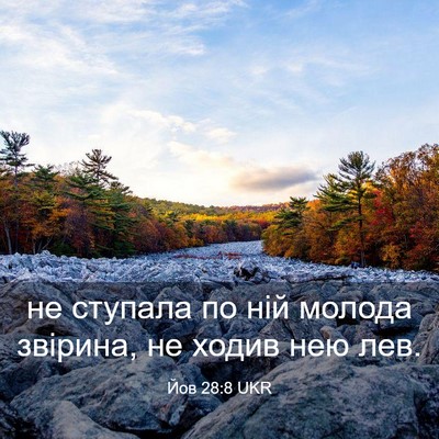 Picture 03 - Йов 28:8 UKR - не ступала по ній молода - Bible Verse Picture