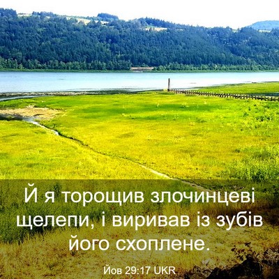 Picture 03 - Йов 29:17 UKR - Й я торощив злочинцеві - Bible Verse Picture