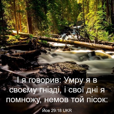Picture 03 - Йов 29:18 UKR - І я говорив: Умру я в своєму - Bible Verse Picture