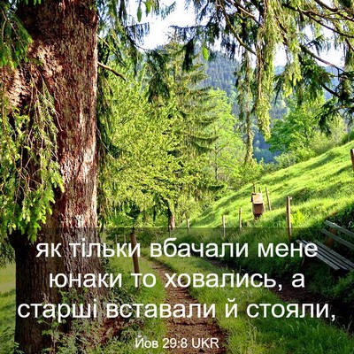 Picture 03 - Йов 29:8 UKR - як тільки вбачали мене - Bible Verse Picture