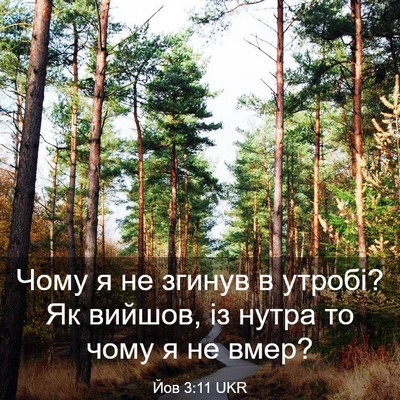 Picture 03 - Йов 3:11 UKR - Чому я не згинув в утробі? - Bible Verse Picture