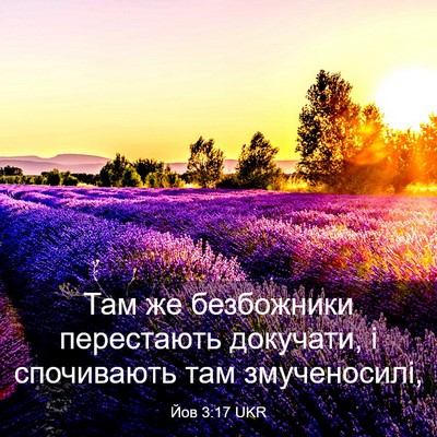 Picture 03 - Йов 3:17 UKR - Там же безбожники - Bible Verse Picture