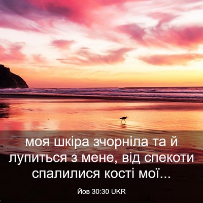 Picture 03 - Йов 30:30 UKR - моя шкіра зчорніла та й - Bible Verse Picture