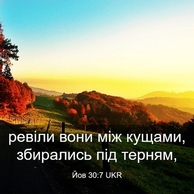 Picture 03 - Йов 30:7 UKR - ревіли вони між кущами, - Bible Verse Picture