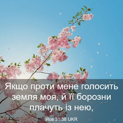 Picture 03 - Йов 31:38 UKR - Якщо проти мене голосить - Bible Verse Picture