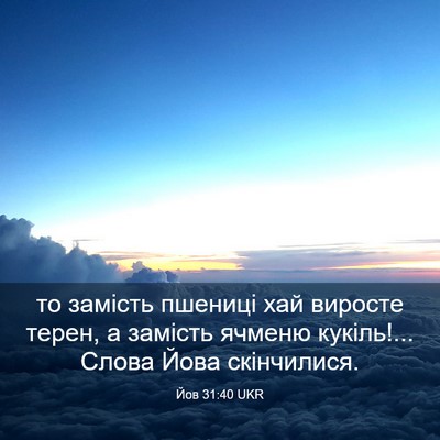 Picture 03 - Йов 31:40 UKR - то замість пшениці хай - Bible Verse Picture
