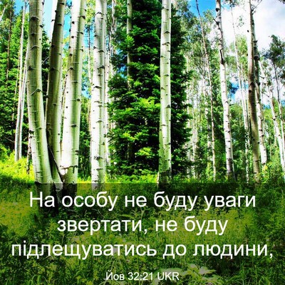 Picture 03 - Йов 32:21 UKR - На особу не буду уваги - Bible Verse Picture