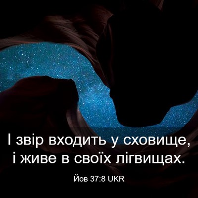 Picture 03 - Йов 37:8 UKR - І звір входить у сховище, і - Bible Verse Picture