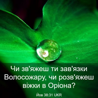 Picture 03 - Йов 38:31 UKR - Чи зв'яжеш ти зав'язки - Bible Verse Picture