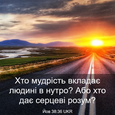 Picture 03 - Йов 38:36 UKR - Хто мудрість вкладає - Bible Verse Picture