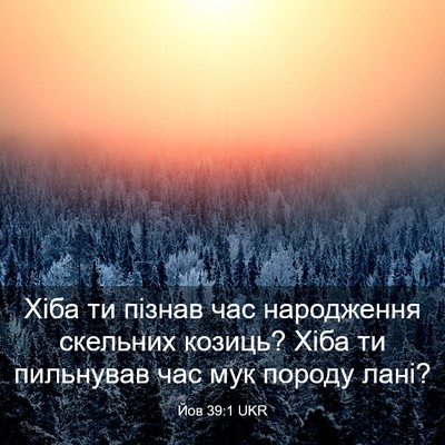 Picture 03 - Йов 39:1 UKR - Хіба ти пізнав час - Bible Verse Picture
