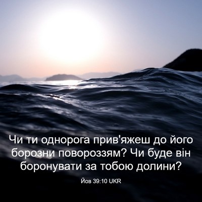 Picture 03 - Йов 39:10 UKR - Чи ти однорога прив'яжеш до - Bible Verse Picture