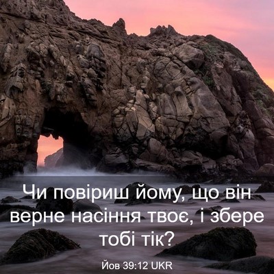 Picture 03 - Йов 39:12 UKR - Чи повіриш йому, що він - Bible Verse Picture