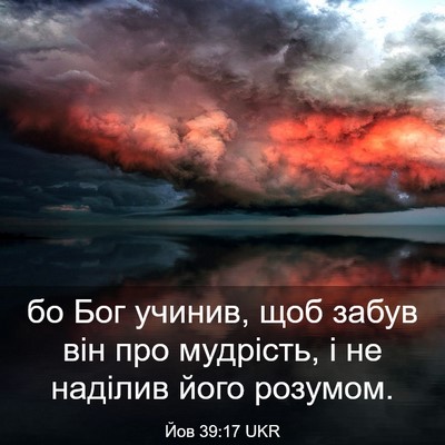 Picture 03 - Йов 39:17 UKR - бо Бог учинив, щоб забув - Bible Verse Picture