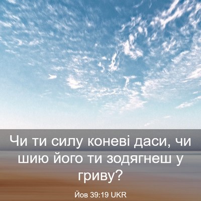 Picture 03 - Йов 39:19 UKR - Чи ти силу коневі даси, чи - Bible Verse Picture