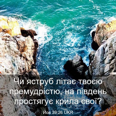 Picture 03 - Йов 39:26 UKR - Чи яструб літає твоєю - Bible Verse Picture