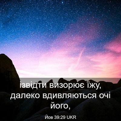 Picture 03 - Йов 39:29 UKR - ізвідти визорює їжу, - Bible Verse Picture