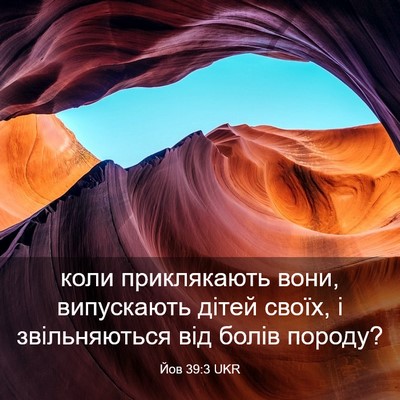 Picture 03 - Йов 39:3 UKR - коли приклякають вони, - Bible Verse Picture