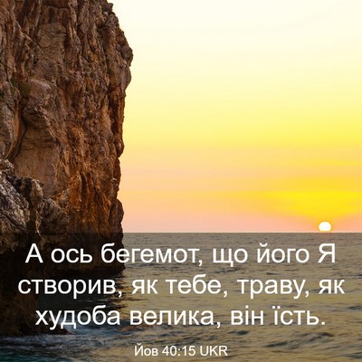 Picture 03 - Йов 40:15 UKR - А ось бегемот, що його Я - Bible Verse Picture