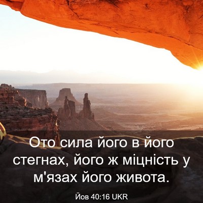 Picture 03 - Йов 40:16 UKR - Ото сила його в його - Bible Verse Picture