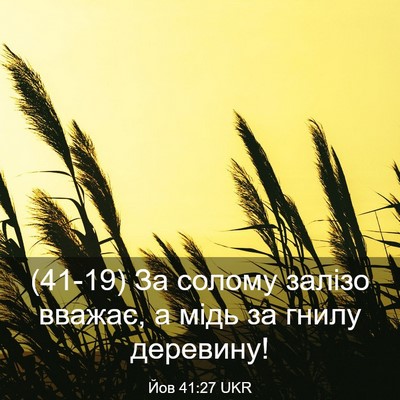 Picture 03 - Йов 41:27 UKR - (41-19) За солому залізо - Bible Verse Picture