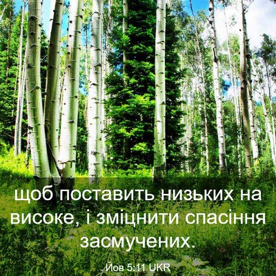Picture 03 - Йов 5:11 UKR - щоб поставить низьких на - Bible Verse Picture