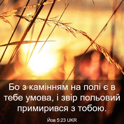 Picture 03 - Йов 5:23 UKR - Бо з камінням на полі є в - Bible Verse Picture