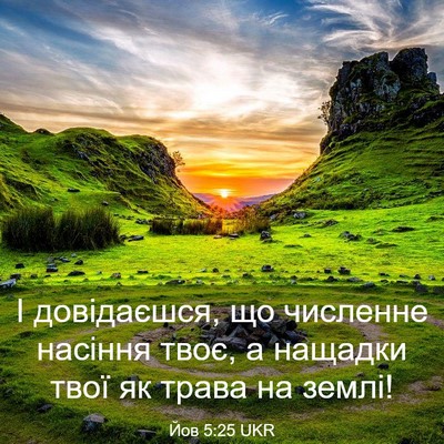 Picture 03 - Йов 5:25 UKR - І довідаєшся, що численне - Bible Verse Picture
