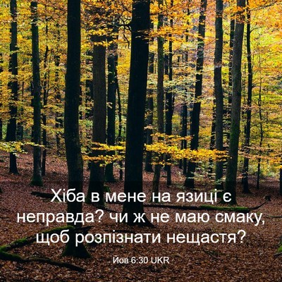 Picture 03 - Йов 6:30 UKR - Хіба в мене на язиці є - Bible Verse Picture