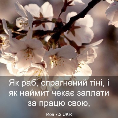 Picture 03 - Йов 7:2 UKR - Як раб, спрагнений тіні, і - Bible Verse Picture