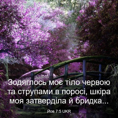 Picture 03 - Йов 7:5 UKR - Зодяглось моє тіло червою - Bible Verse Picture