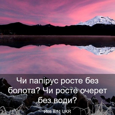 Picture 03 - Йов 8:11 UKR - Чи папірус росте без - Bible Verse Picture