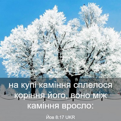 Picture 03 - Йов 8:17 UKR - на купі каміння сплелося - Bible Verse Picture