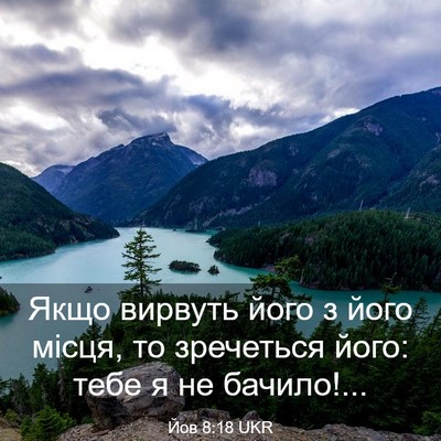 Picture 03 - Йов 8:18 UKR - Якщо вирвуть його з його - Bible Verse Picture