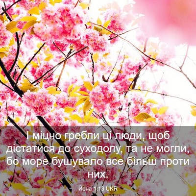Picture 03 - Йона 1:13 UKR - І міцно гребли ці люди, щоб - Bible Verse Picture