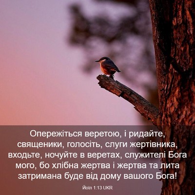 Picture 03 - Йоїл 1:13 UKR - Опережіться веретою, і - Bible Verse Picture