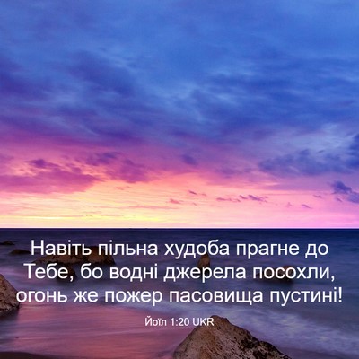 Picture 03 - Йоїл 1:20 UKR - Навіть пільна худоба - Bible Verse Picture