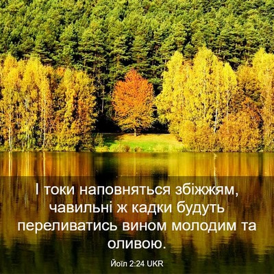 Picture 03 - Йоїл 2:24 UKR - І токи наповняться - Bible Verse Picture