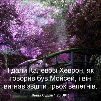 Picture 03 - Книга Суддів 1:20 UKR - І дали Калевові Хеврон, як - Bible Verse Picture