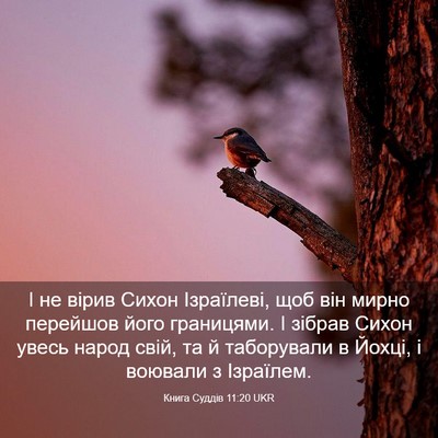 Picture 03 - Книга Суддів 11:20 UKR - І не вірив Сихон Ізраїлеві, - Bible Verse Picture