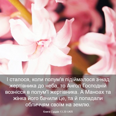 Picture 03 - Книга Суддів 13:20 UKR - І сталося, коли полум'я - Bible Verse Picture