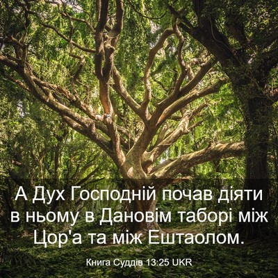 Picture 03 - Книга Суддів 13:25 UKR - А Дух Господній почав - Bible Verse Picture